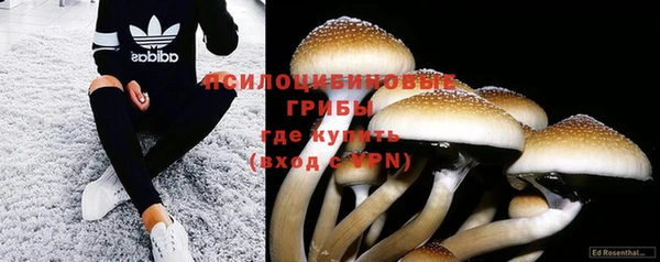 дурь Верхний Тагил